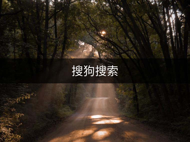 搜狗搜索