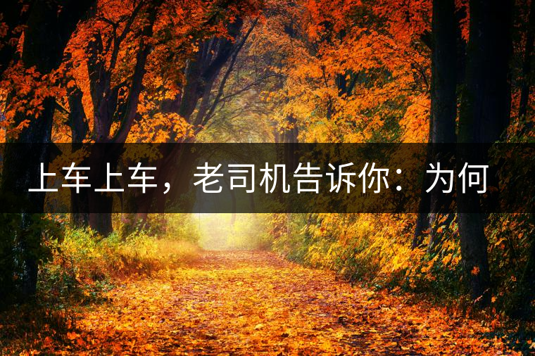 上車上車，老司機(jī)告訴你：為何明前茶貴如金