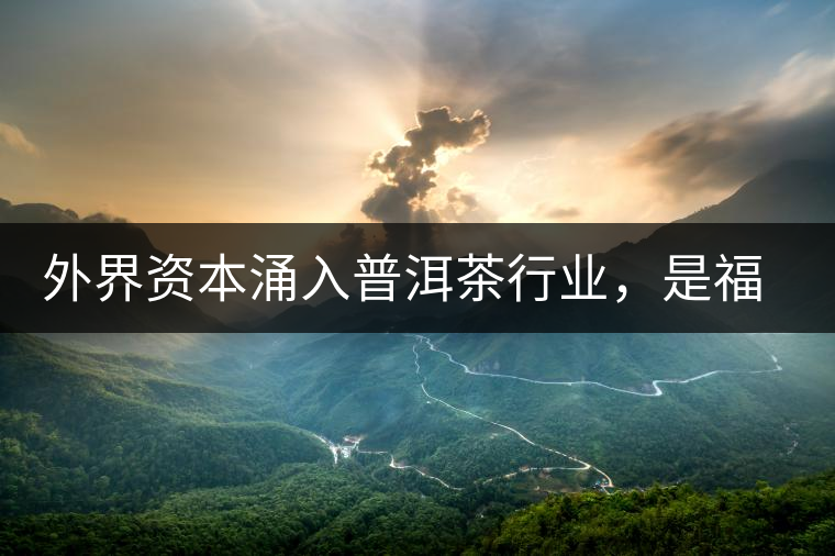 外界資本涌入普洱茶行業(yè)，是福還是禍？