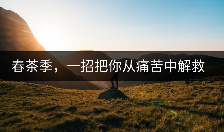 春茶季，一招把你從痛苦中解救出來