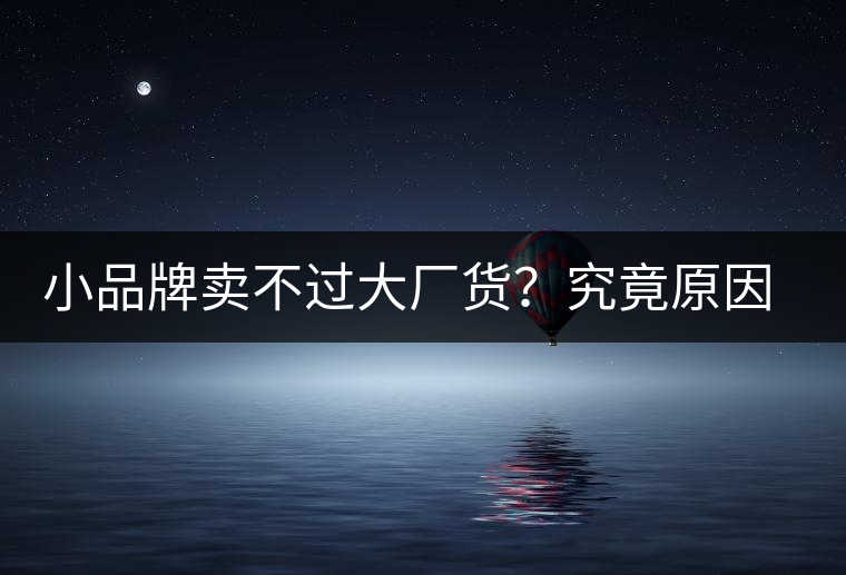 小品牌賣不過大廠貨？究竟原因何在……