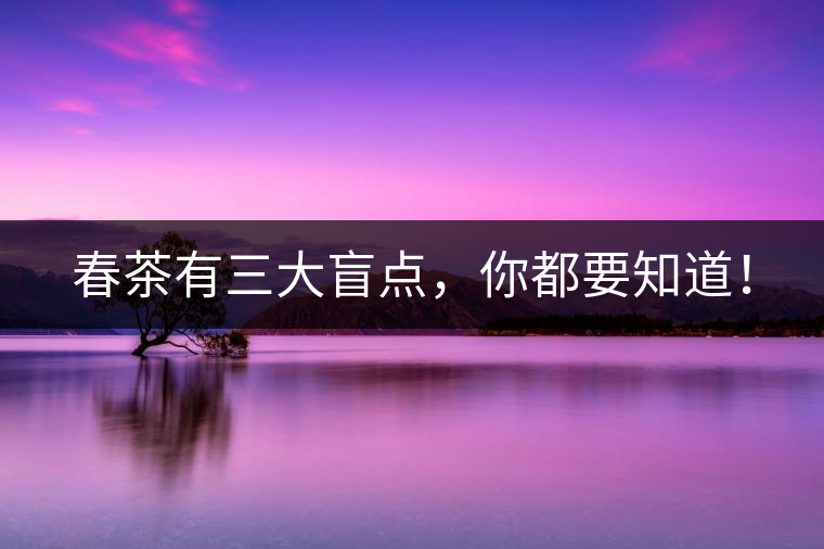 春茶有三大盲點，你都要知道！