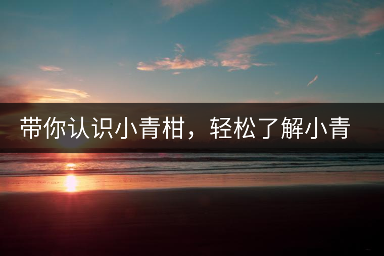 帶你認(rèn)識(shí)小青柑，輕松了解小青柑的前世今生