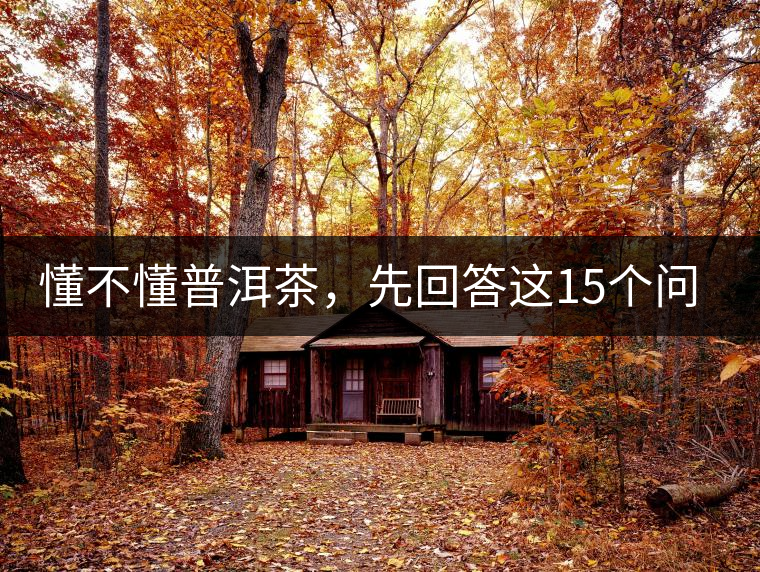 懂不懂普洱茶，先回答這15個問題試試？