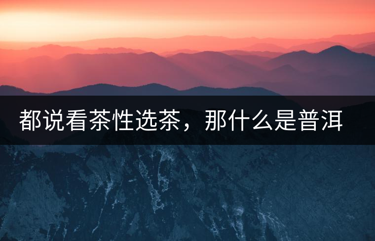 都說看茶性選茶，那什么是普洱茶的“茶性”呢？