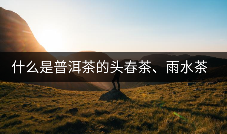 什么是普洱茶的頭春茶、雨水茶和谷花茶，怎樣區(qū)別？