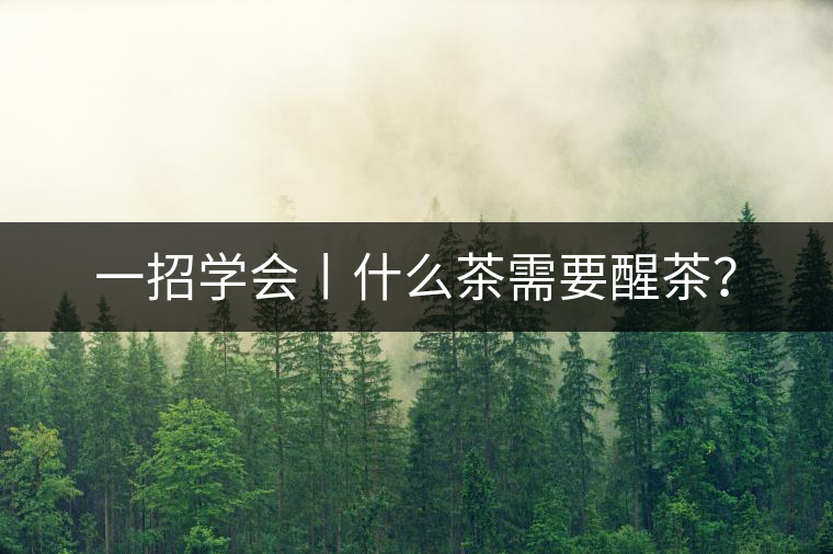 一招學(xué)會丨什么茶需要醒茶？