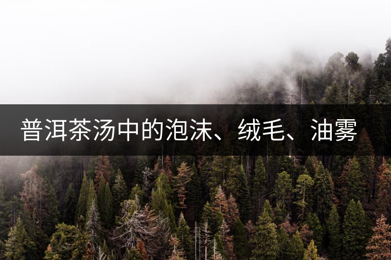 普洱茶湯中的泡沫、絨毛、油霧、絮狀物……原來是這些東西！