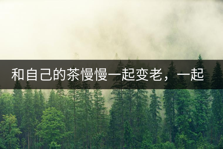 和自己的茶慢慢一起變老，一起變好