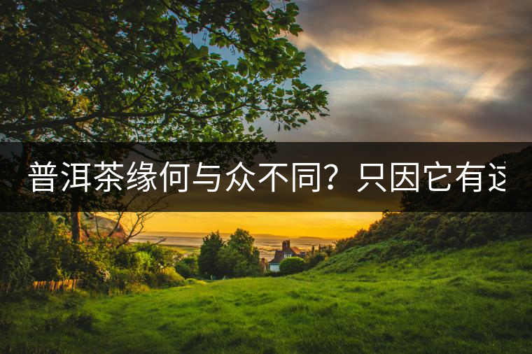 普洱茶緣何與眾不同？只因它有這5個(gè)“唯一”