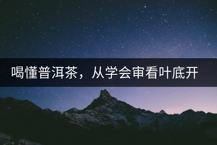 喝懂普洱茶，從學(xué)會(huì)審看葉底開始