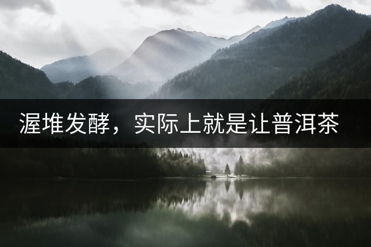 渥堆發(fā)酵，實(shí)際上就是讓普洱茶“發(fā)霉”