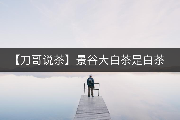 【刀哥說茶】景谷大白茶是白茶還是普洱茶？