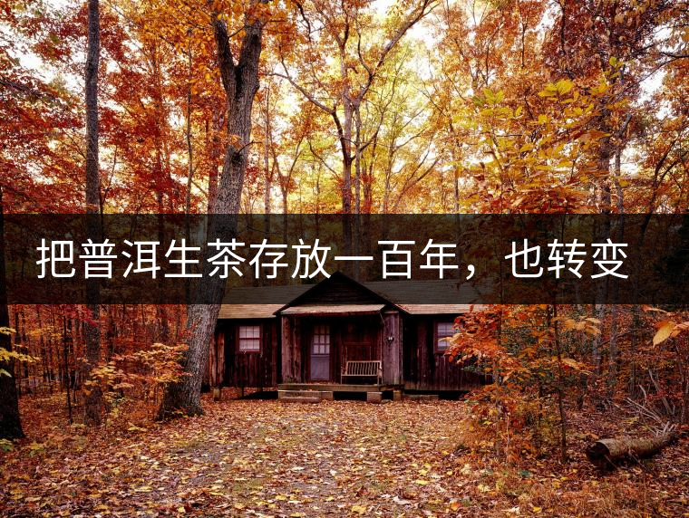 把普洱生茶存放一百年，也轉(zhuǎn)變不成熟茶