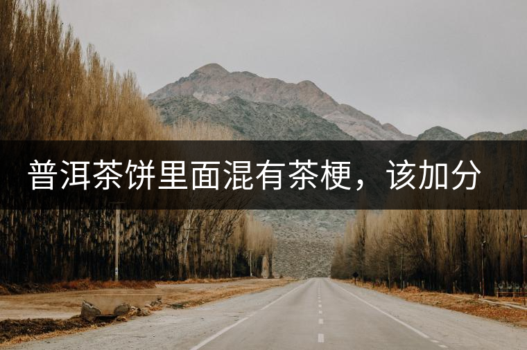 普洱茶餅里面混有茶梗，該加分還是減分？