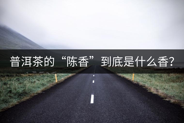 普洱茶的“陳香”到底是什么香？