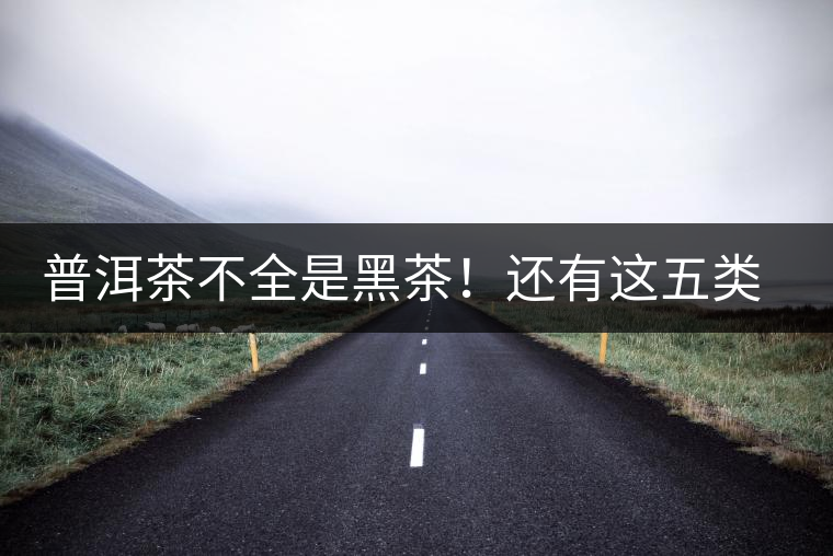 普洱茶不全是黑茶！還有這五類茶，現(xiàn)在知道還不算晚