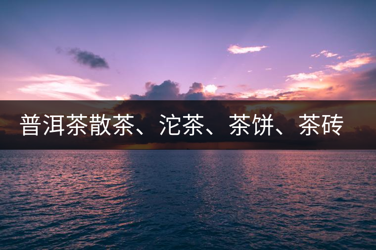 普洱茶散茶、沱茶、茶餅、茶磚哪種更好？