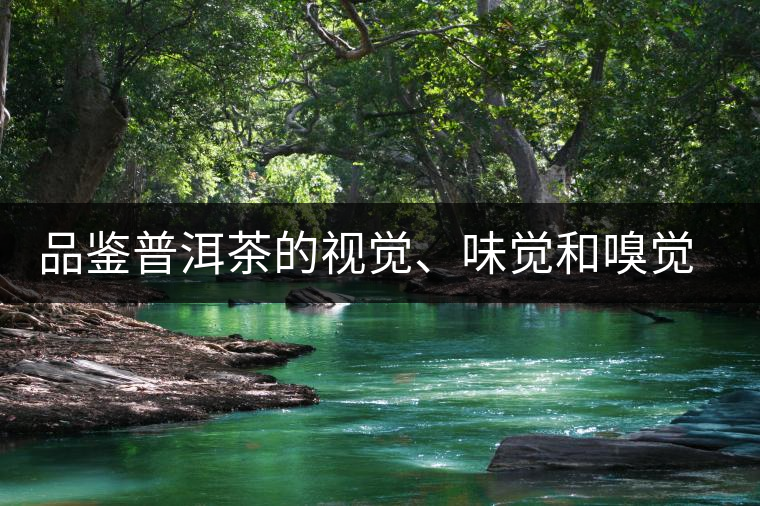 品鑒普洱茶的視覺、味覺和嗅覺指標(biāo)