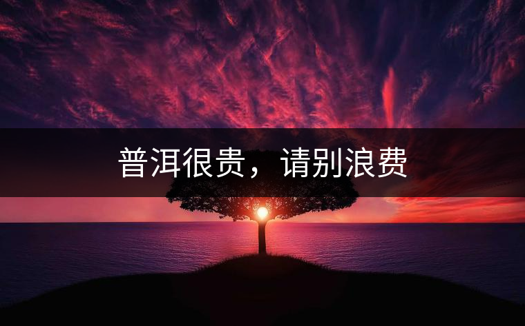 普洱很貴，請別浪費