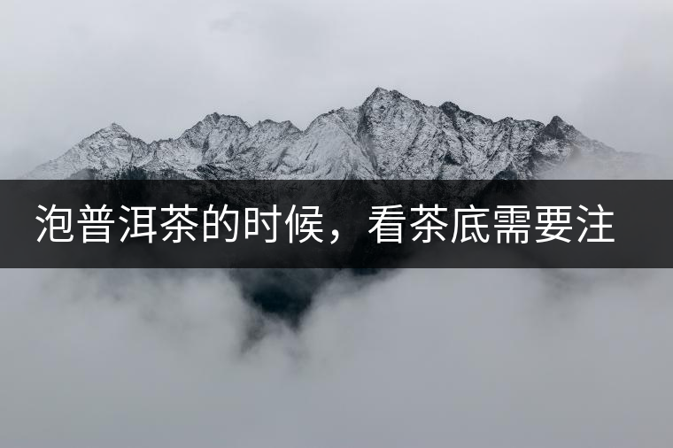 泡普洱茶的時候，看茶底需要注意什么？
