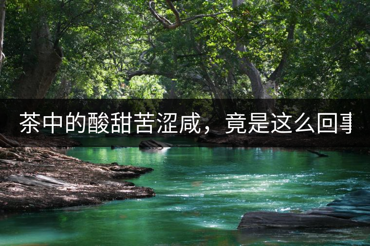 茶中的酸甜苦澀咸，竟是這么回事！