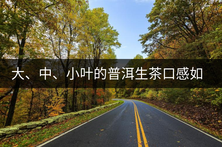 大、中、小葉的普洱生茶口感如何辨別？