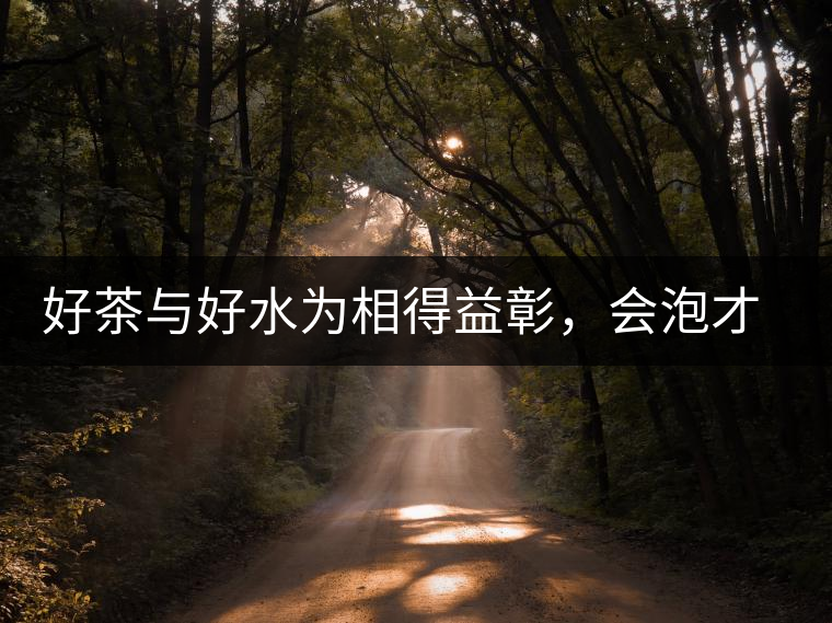好茶與好水為相得益彰，會泡才是靈魂