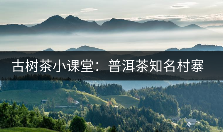 古樹茶小課堂：普洱茶知名村寨的生態(tài)環(huán)境如何？