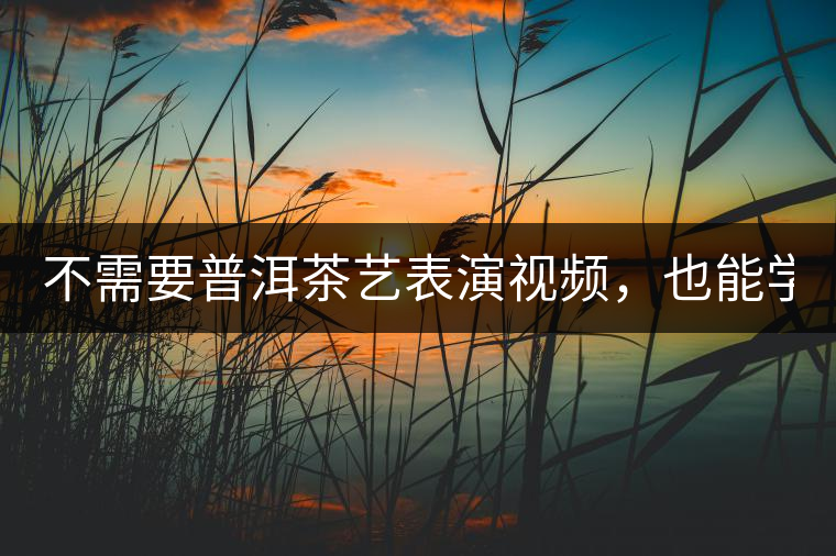 不需要普洱茶藝表演視頻，也能學(xué)會的茶藝！