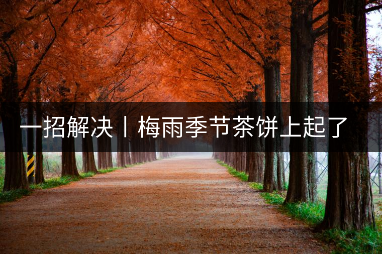 一招解決丨梅雨季節(jié)茶餅上起了白霜白點(diǎn)怎么辦？