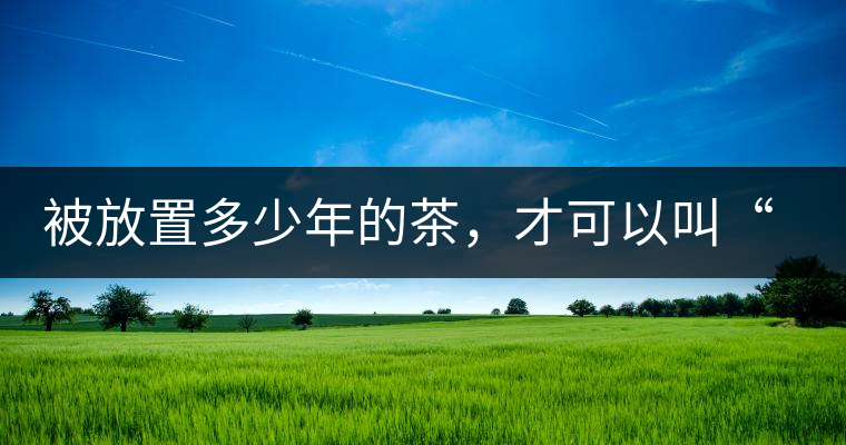 被放置多少年的茶，才可以叫“老茶”？別一問三不知，還說你愛茶