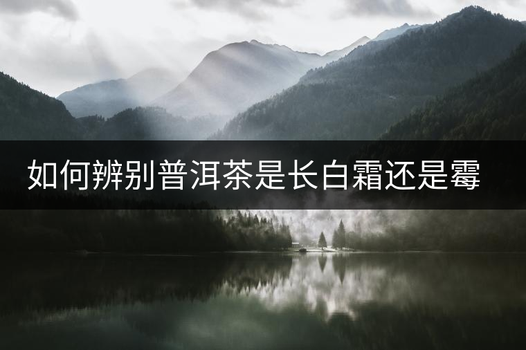 如何辨別普洱茶是長白霜還是霉變 如何辨別普洱茶是長白霜還是霉變