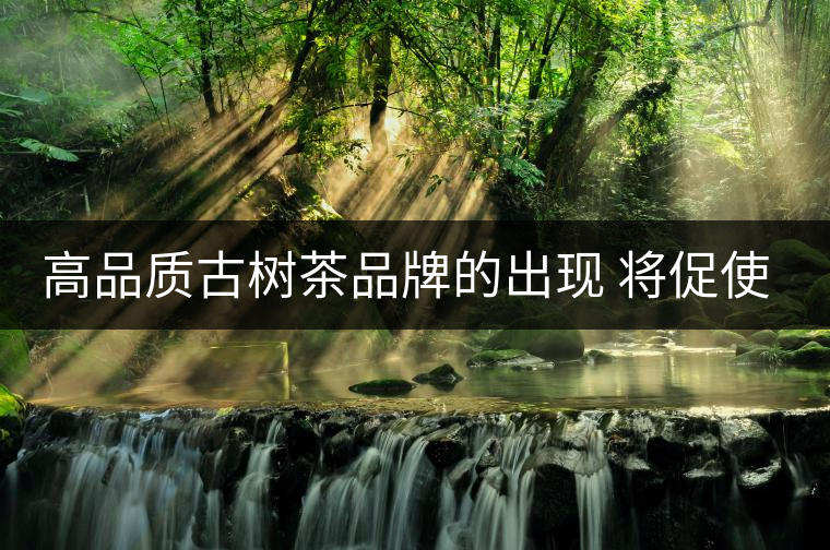 高品質(zhì)古樹(shù)茶品牌的出現(xiàn) 將促使行業(yè)越來(lái)越規(guī)范