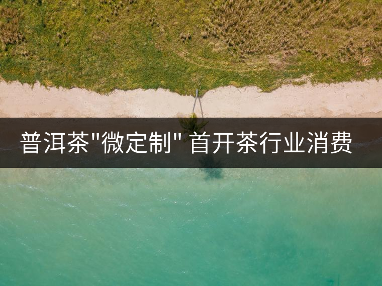 普洱茶 普洱茶