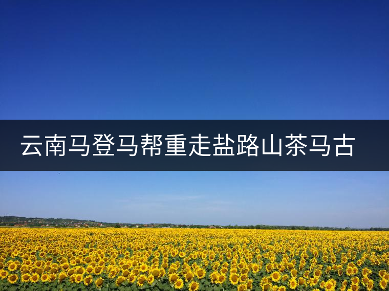 云南馬登馬幫重走鹽路山茶馬古道 為茶馬古道申報(bào)世界自然遺產(chǎn)拍攝紀(jì)錄片