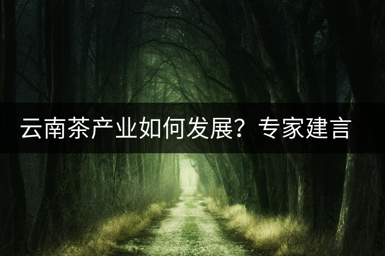 云南茶產(chǎn)業(yè)如何發(fā)展？專家建言：產(chǎn)業(yè)復興助脫貧
