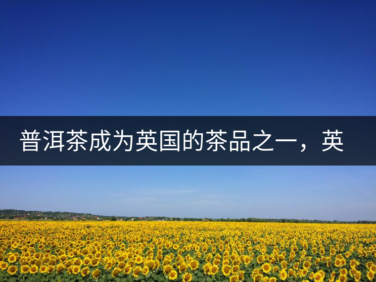 普洱茶成為英國的茶品之一，英國雜志給出7大理由