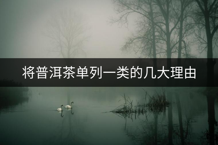 將普洱茶單列一類的幾大理由