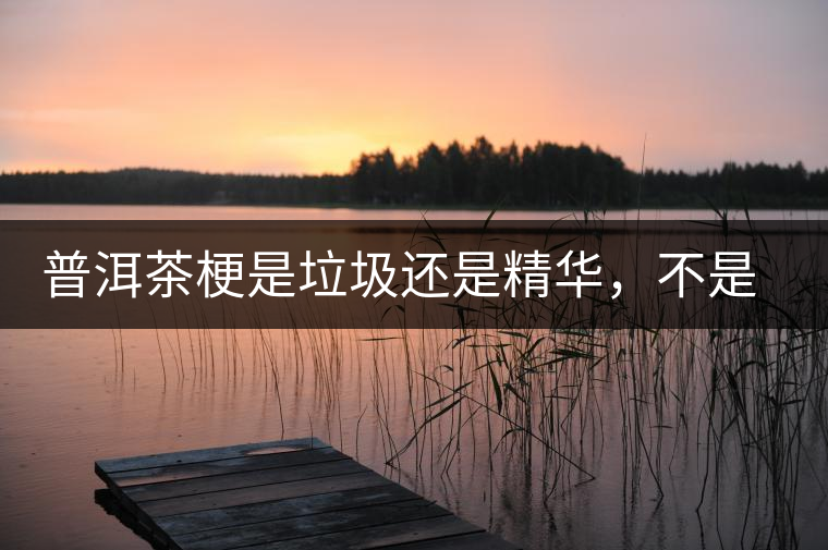 普洱茶梗是垃圾還是精華，不是一個人說的算