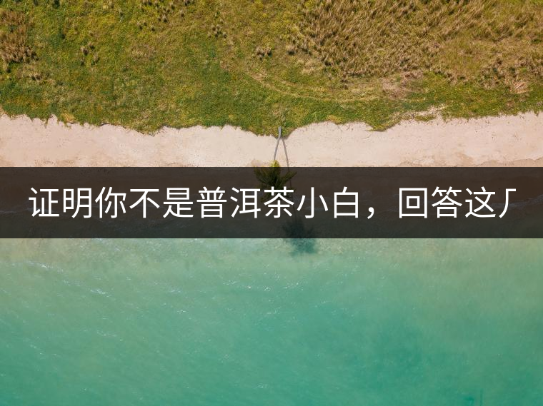 證明你不是普洱茶小白，回答這幾個問題先！