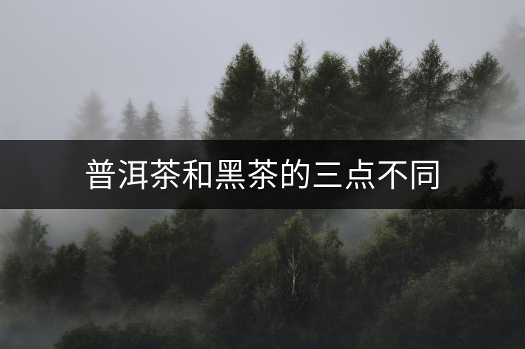 普洱茶和黑茶的三點不同