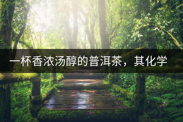 一杯香濃湯醇的普洱茶，其化學(xué)成分是怎樣的？