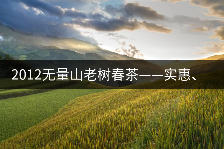 2012無(wú)量山老樹春茶——實(shí)惠、超值