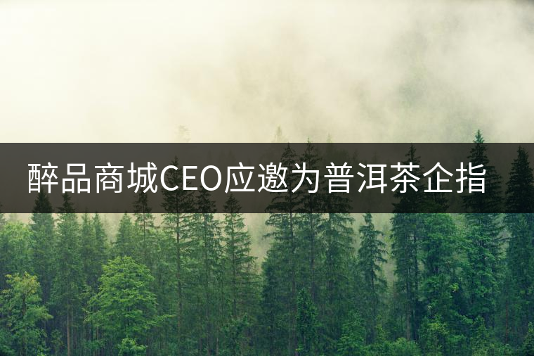 醉品商城CEO應(yīng)邀為普洱茶企指導(dǎo)電子商務(wù)