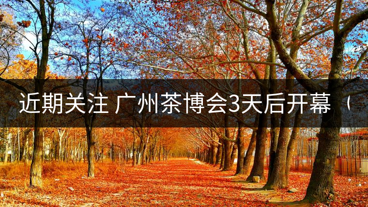 近期關(guān)注 廣州茶博會3天后開幕(11月21日) 近期關(guān)注 廣州茶博會3天后開幕(11月21日)