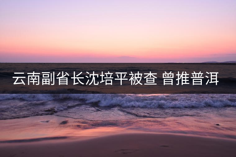 云南副省長沈培平被查 曾推普洱茶被稱茶市長