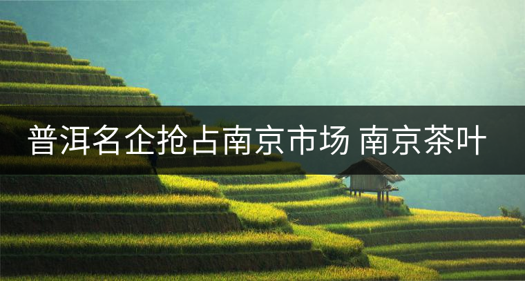 普洱名企搶占南京市場 南京茶葉消費日趨多元化