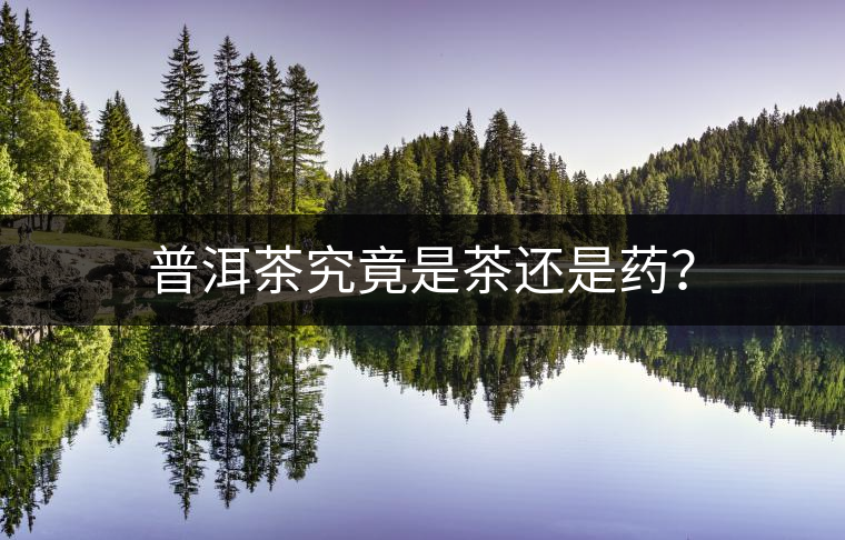 普洱茶究竟是茶還是藥？
