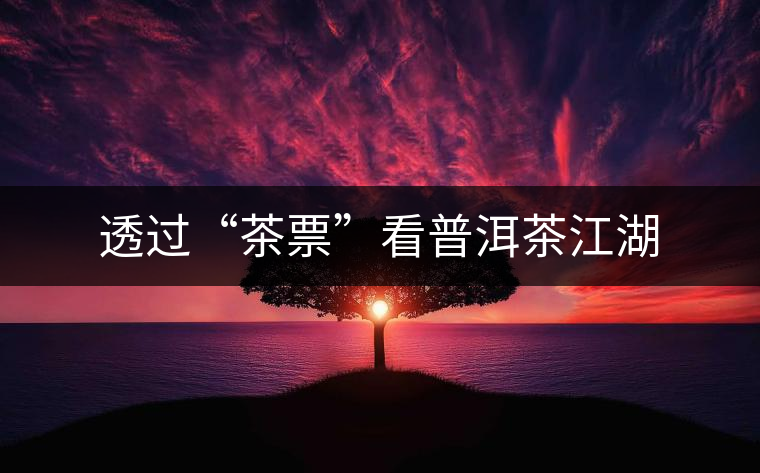 透過“茶票”看普洱茶江湖